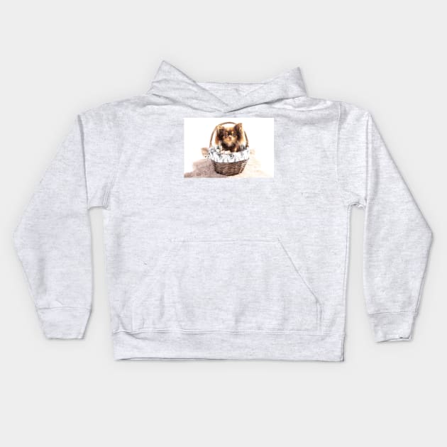 Eva The Chihuahua Kids Hoodie by tommysphotos